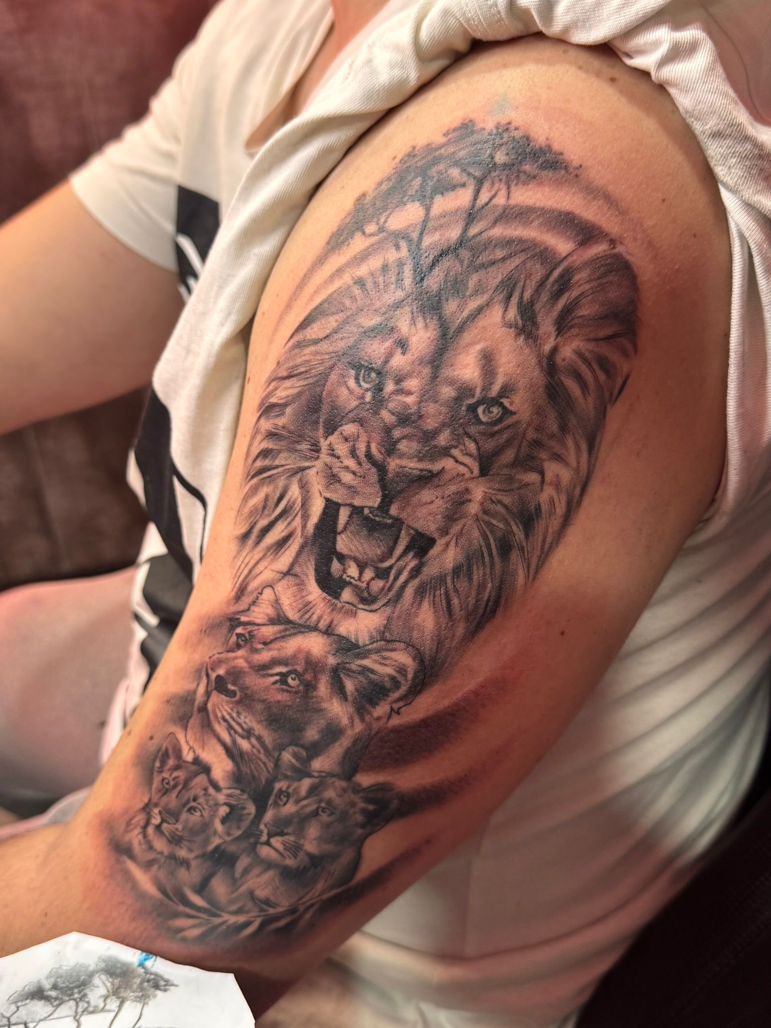 Trabajo de Perla K.